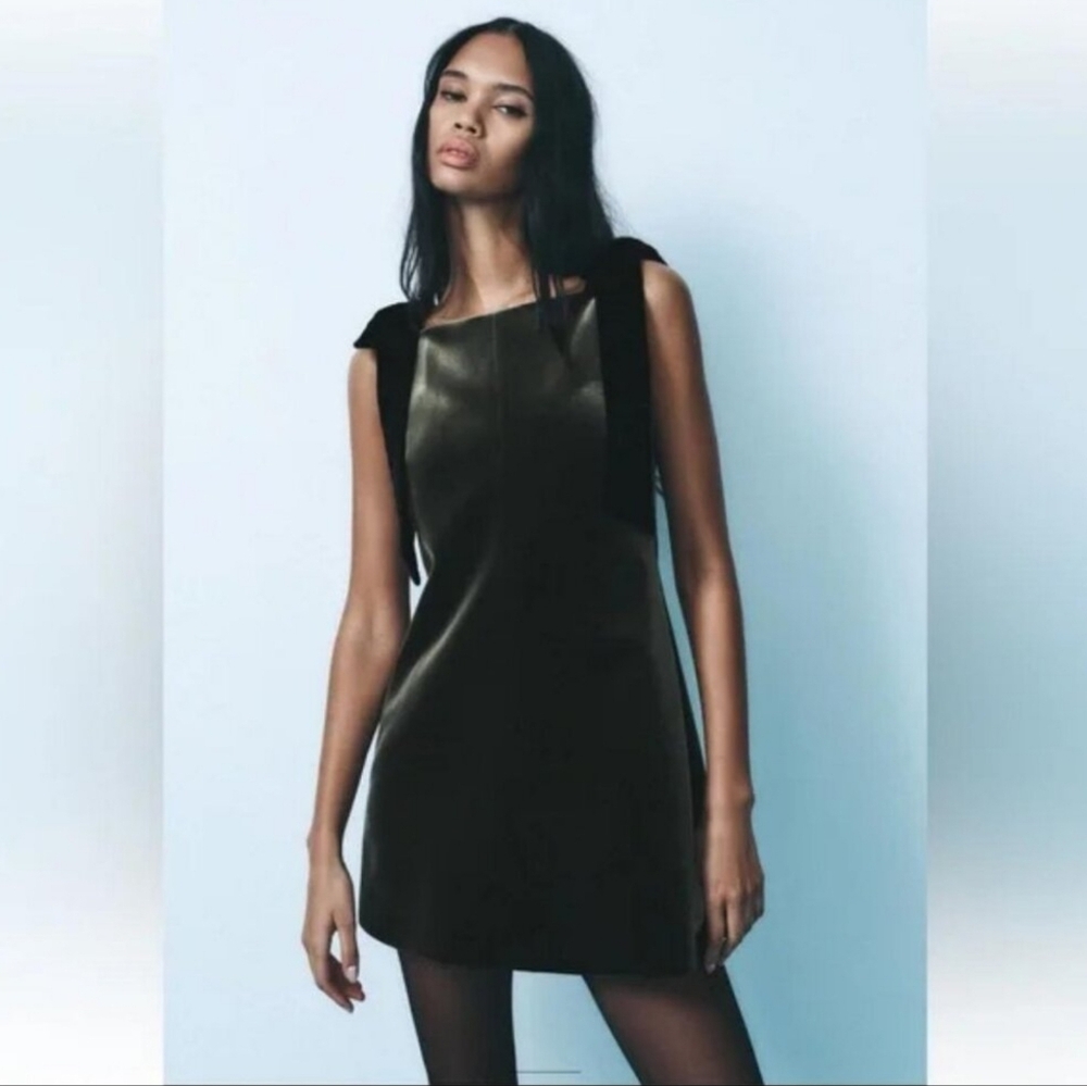 Zara Velvet Bows Dress